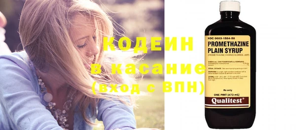 сатива Вяземский
