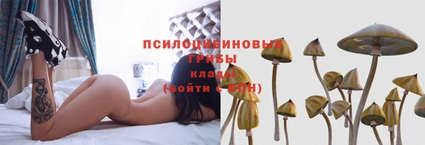 метадон Тайга