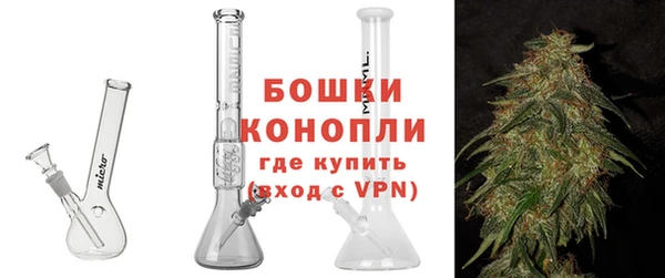 сатива Вяземский
