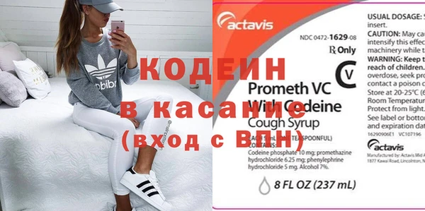 сатива Вяземский