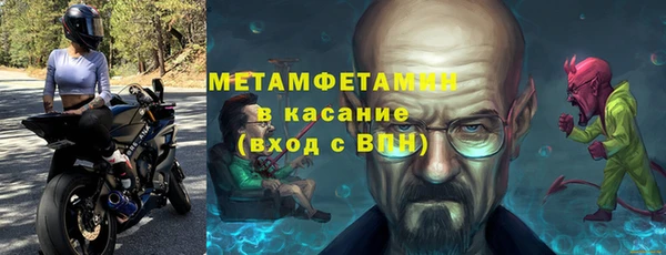 сатива Вяземский